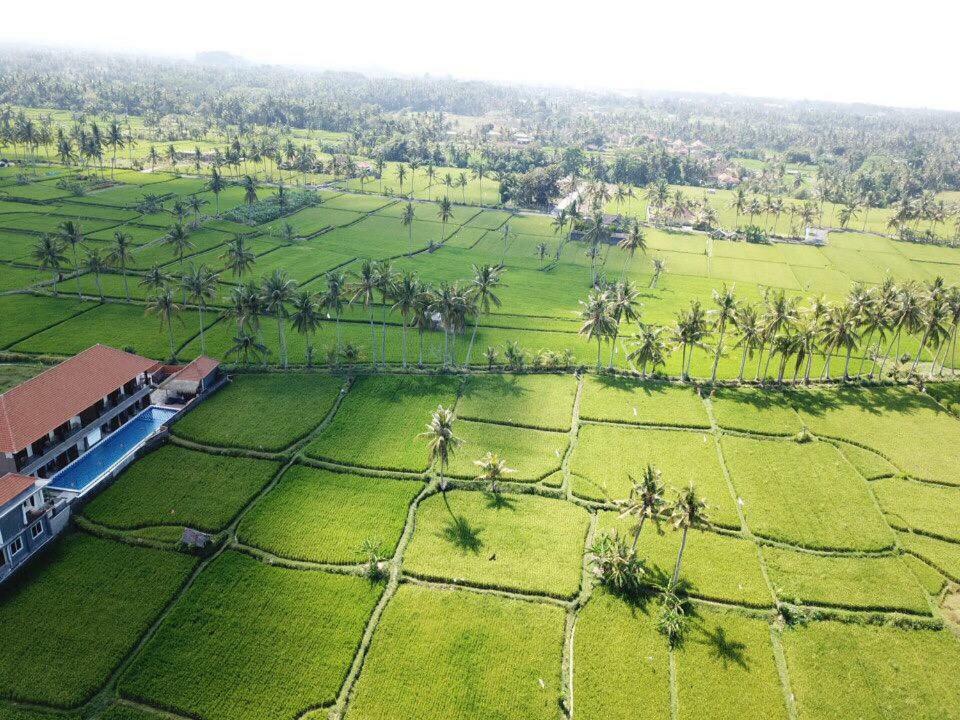 The Sawah Resort & Villa Ubud Exterior foto